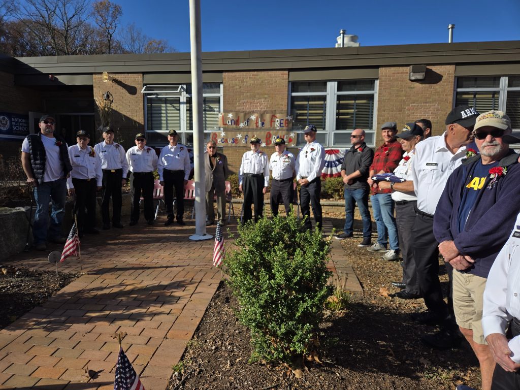 Volunteer veterans day